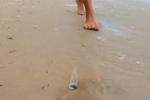 Praia não é lixeira: a irresponsabilidade que coloca vidas em risco e agride o meio ambiente