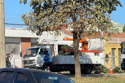 Moradores do Jardim das Hortênsias protestam contra retirada de árvores