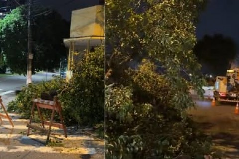 Prefeitura mantém força-tarefa para atender ocorrências após fortes chuvas